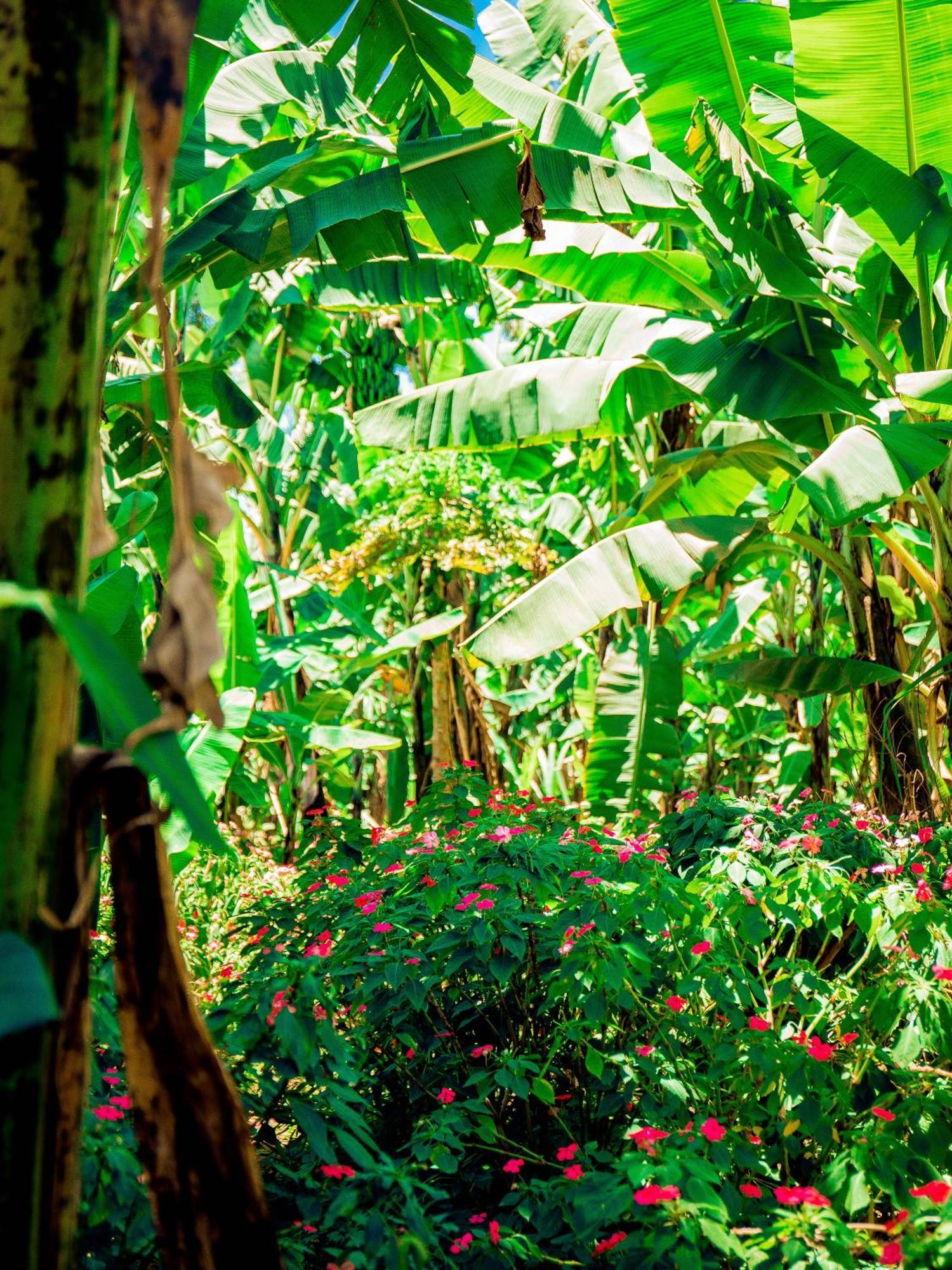 Arusha Jua Home المظهر الخارجي الصورة