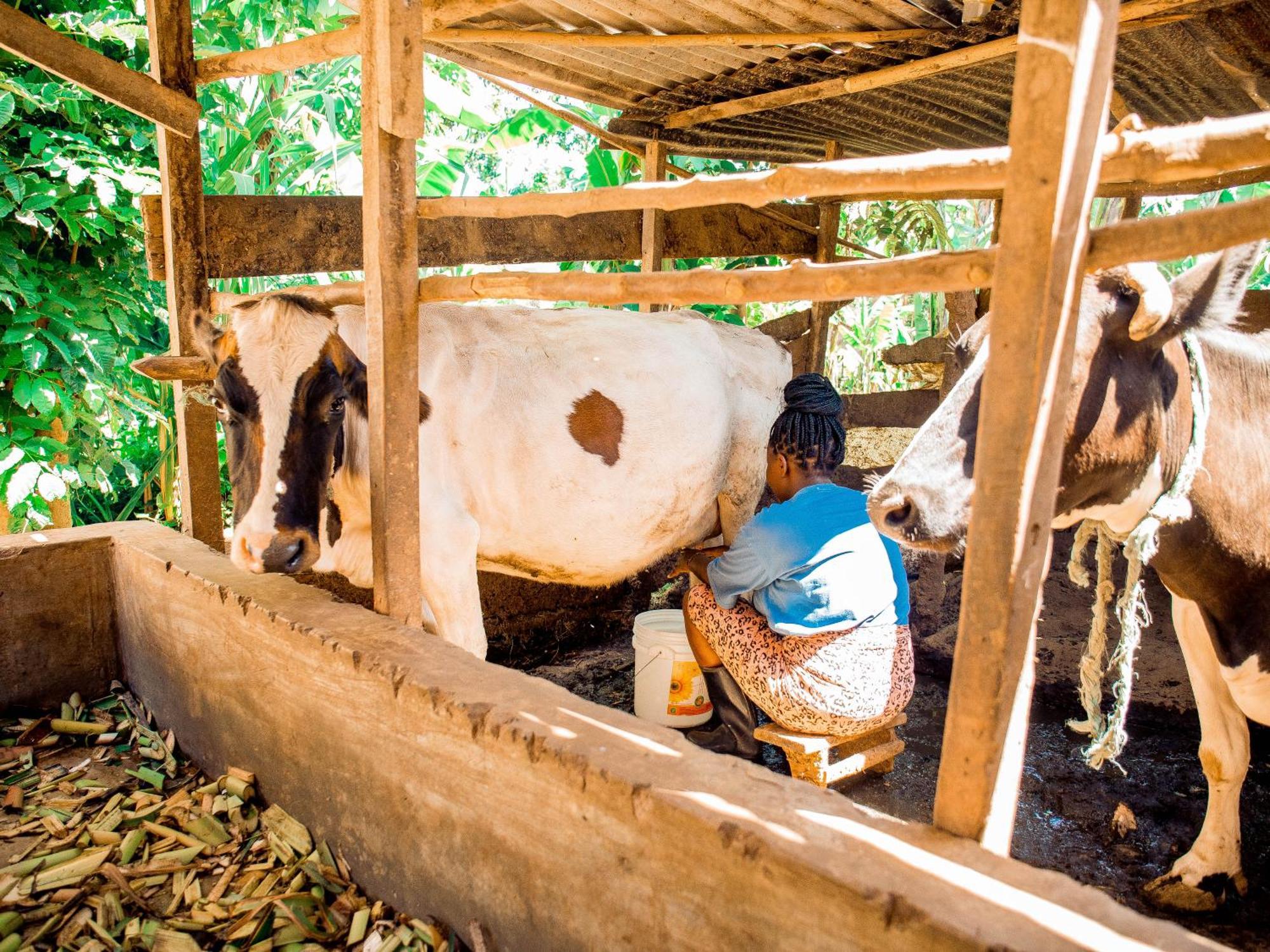 Arusha Jua Home المظهر الخارجي الصورة