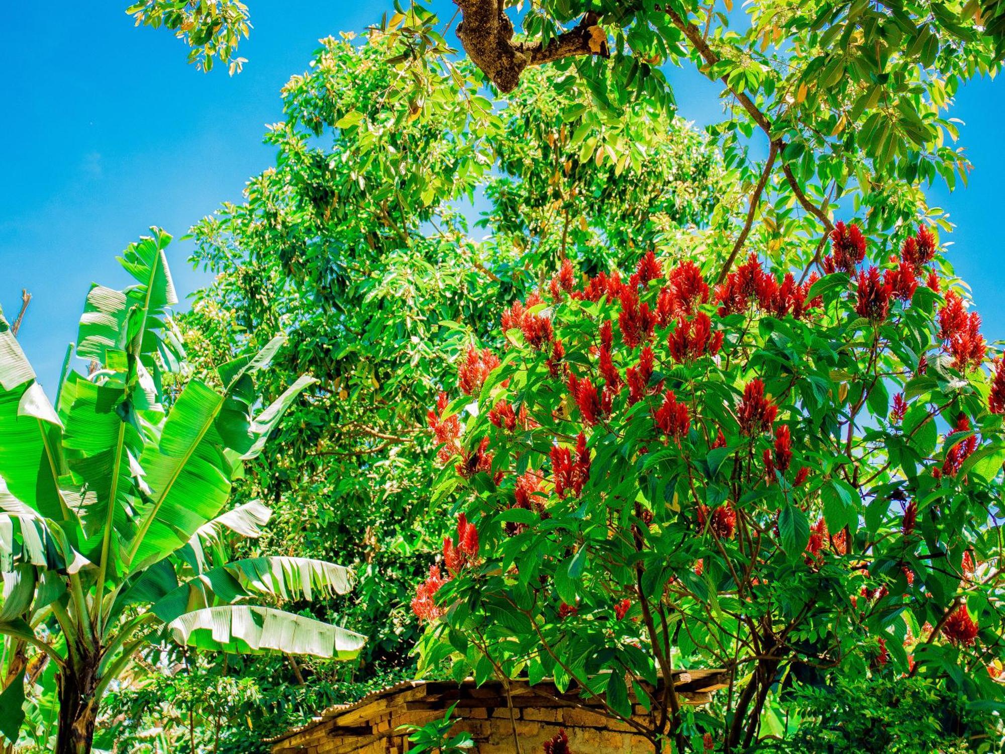 Arusha Jua Home المظهر الخارجي الصورة